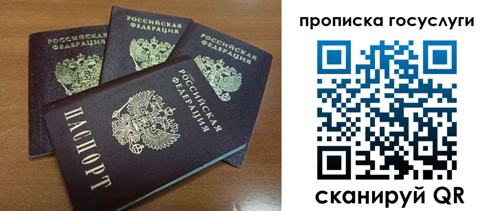прописка 2025 в Порхове