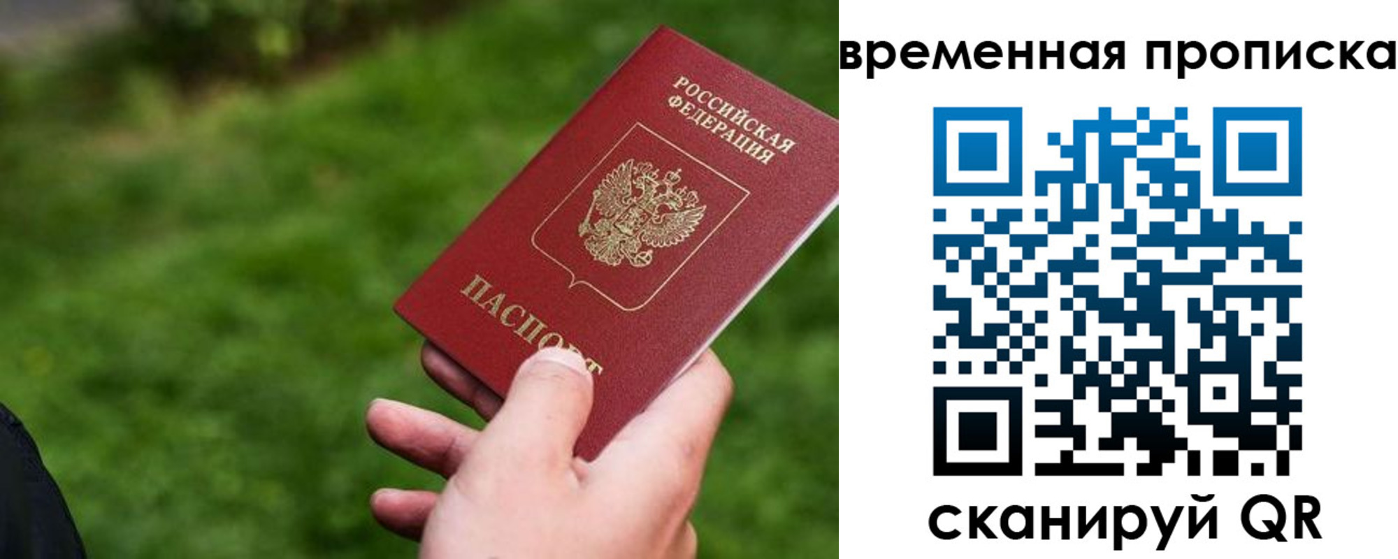 прописка 2025 в Порхове